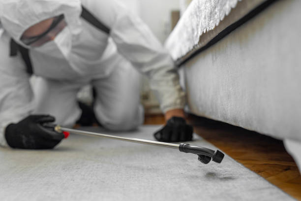 Professional Pest Control technician working in Stephens County County, TX
